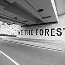 ESCIF - WE THE FOREST / WE DEFOREST!