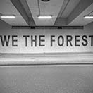 ESCIF - WE THE FOREST / WE DEFOREST!